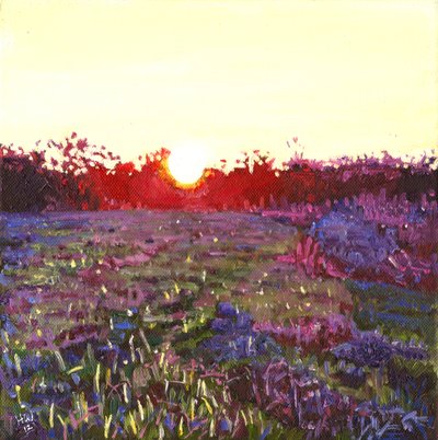 Farley Sunset, 2012 by Helen White